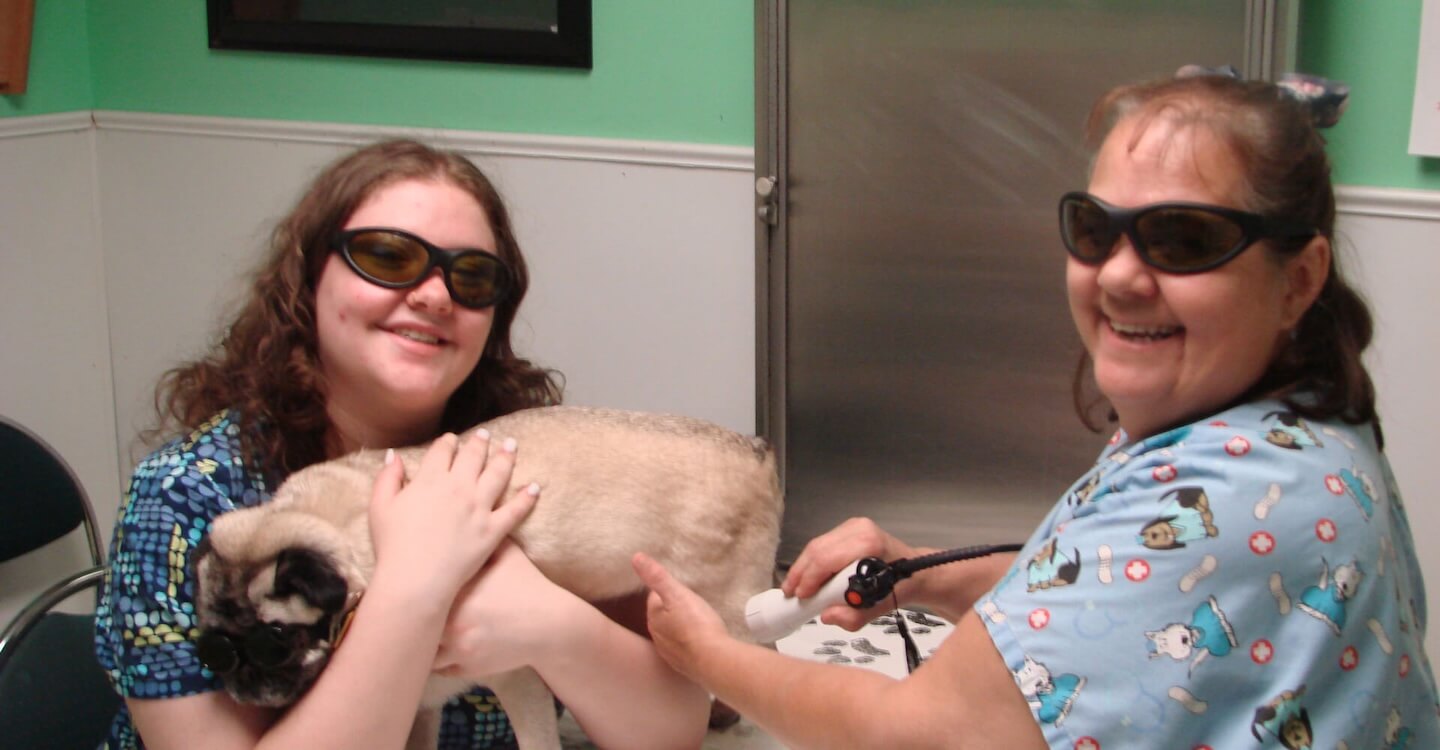 Pottsgrove Animal Hospital Michigan